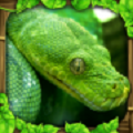 终极蟒蛇模拟器 V1.5 安卓版